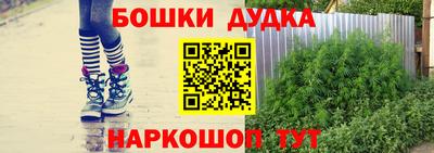 крисы Партизанск