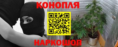 apvp Обь